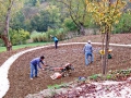 Tuinaanleg, najaar 2011