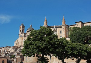 Urbino